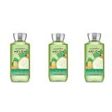 Bath and Body Works 2 Pack At the Beach Shower Gel 10 Oz.