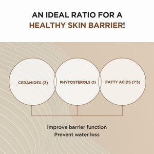 SKIN1004 Madagascar Centella Probio-Cica Intensive Ampoule (95ml)