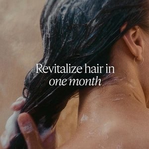 L'Occitane Intensive Repair Shampoo: Silicone-Free Shampoo, Help Revitalize Dry, Damaged, Color-Treated Hair, Vegan, Refill Available