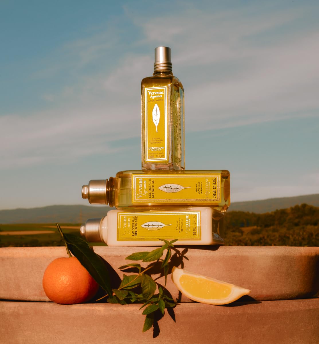 Lâ€™OCCITANE Fresh Conditioner, 8.4 Fl Oz