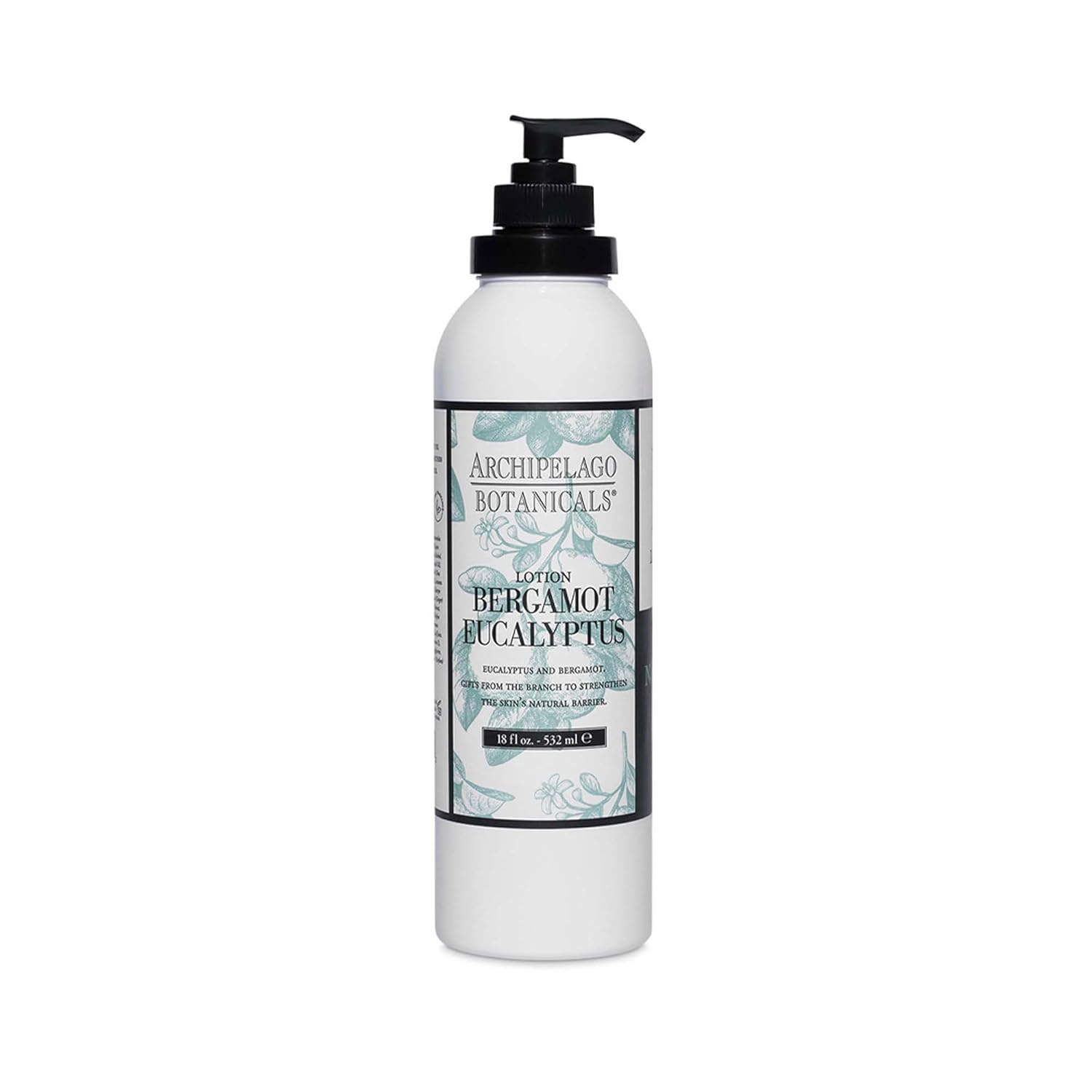 Archipelago Botanicals Charcoal Rose Lotion, Hydrating Lotion for Soft and Healthy Skin, Scented Body Lotion Free from Parabens, Phthalates and GMOs (18 oz)