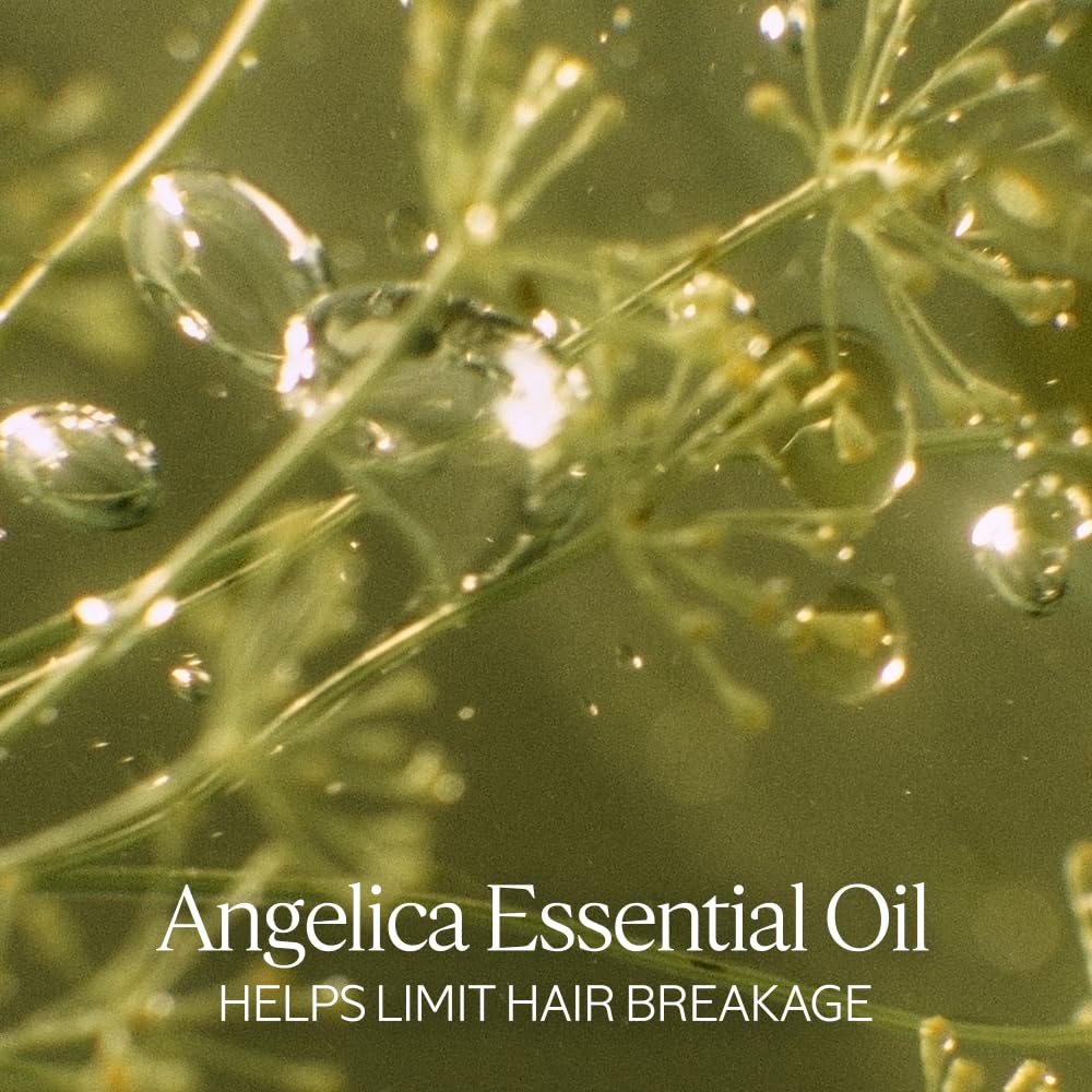 L'Occitane Intensive Repair Shampoo: Silicone-Free Shampoo, Help Revitalize Dry, Damaged, Color-Treated Hair, Vegan, Refill Available