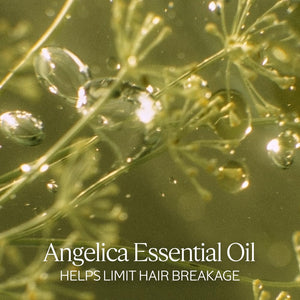 L'Occitane Intensive Repair Shampoo: Silicone-Free Shampoo, Help Revitalize Dry, Damaged, Color-Treated Hair, Vegan, Refill Available