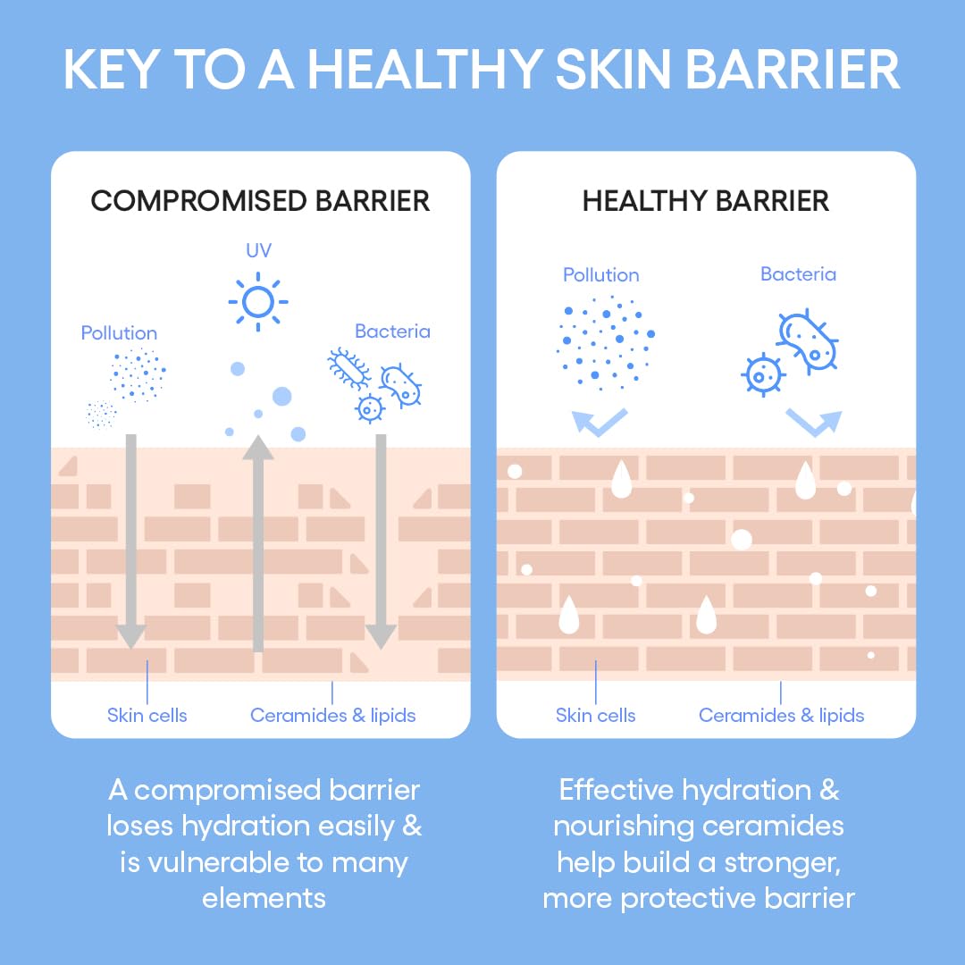 LANEIGE Cream Skin Refillable Toner & Moisturizer with Ceramides and Peptides: Korean Milky Toner, Amino Acid, Nourish, Hydrate, Barrier-Boosting, Visibly Firm