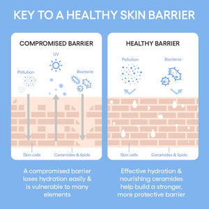 LANEIGE Cream Skin Refillable Toner & Moisturizer with Ceramides and Peptides: Korean Milky Toner, Amino Acid, Nourish, Hydrate, Barrier-Boosting, Visibly Firm