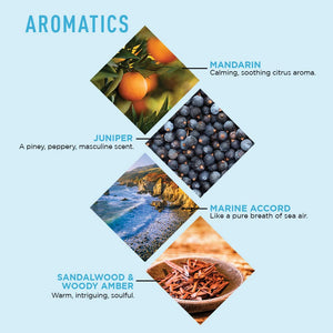 Jack Black Big Sir Body Lotion