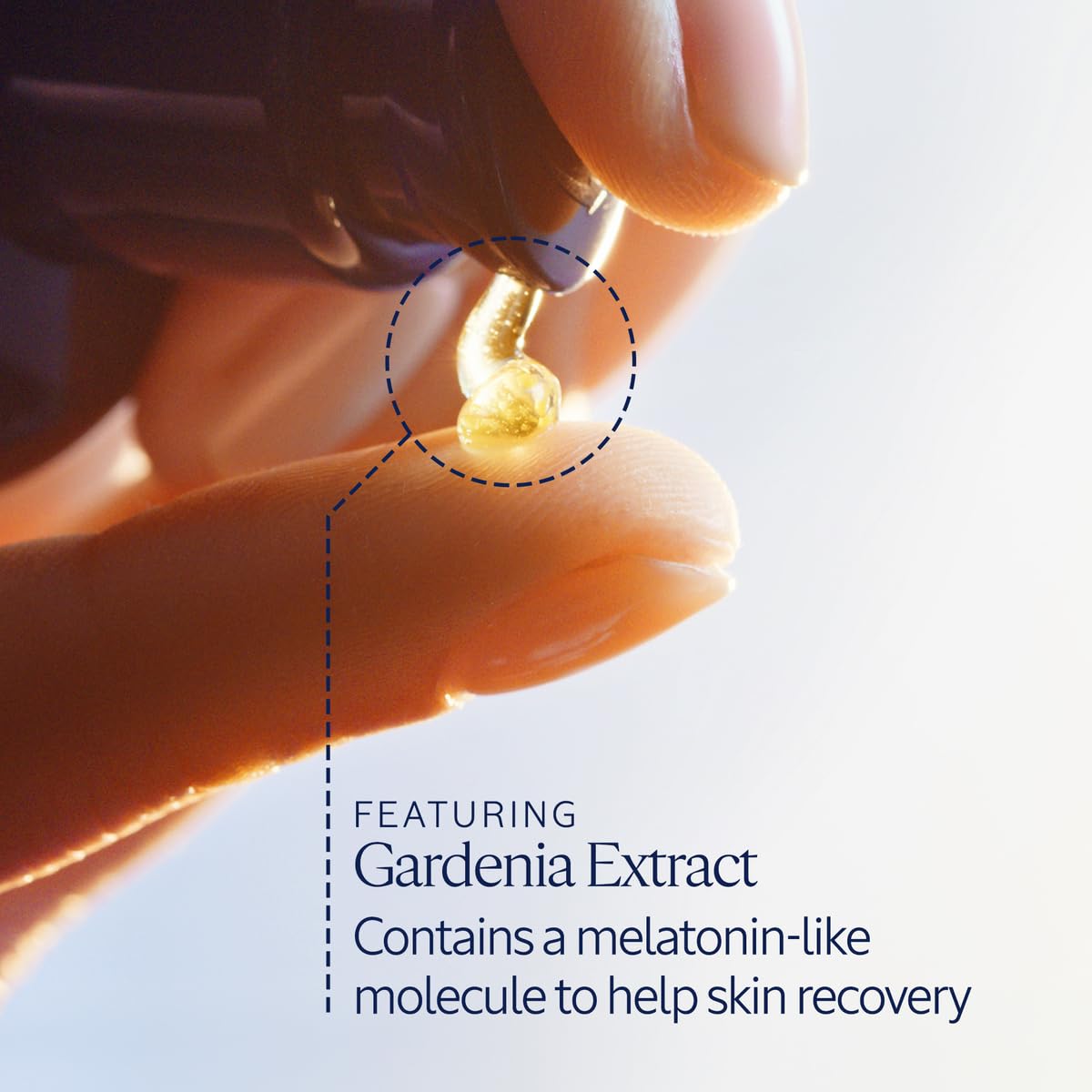 L'Occitane Immortelle Overnight Reset Oil-In-Serum: More Radiant Skin In 1 Night, Smooth Fine Lines, Revitalize Dull Skin, Award-Winner