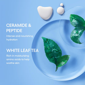 LANEIGE Cream Skin Refillable Toner & Moisturizer with Ceramides and Peptides: Korean Milky Toner, Amino Acid, Nourish, Hydrate, Barrier-Boosting, Visibly Firm