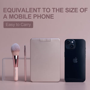 BS-MALL Makeup Brushes Foundation Powder Concealers Eye Shadows Makeup Set with LED light Mirror 14 Pcs Mini Makeup Brushes (APINK)