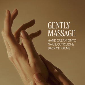 L'OCCITANE Nourishing & Protective Classic Hand Cream Holiday Sets: Gift the Best Moisturizing Hand Creams Including Almond, Shea Butter, Lavender, Limited Edition Citrus Scents & More