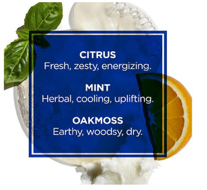 Jack Black Body & Hair Cleanser – Mens Body Wash, Mens Shampoo, Skin Care, Hair Care, Body Wash Men, Sulfate–Free