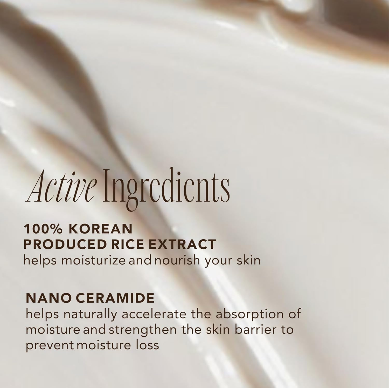 The Face Shop Rice Ceramide Moisturizing Cream – Hydrating Face Cream with Rice Extract & Ceramides – 1.69 fl oz