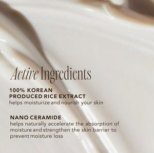 The Face Shop Rice Ceramide Moisturizing Cream – Hydrating Face Cream with Rice Extract & Ceramides – 1.69 fl oz