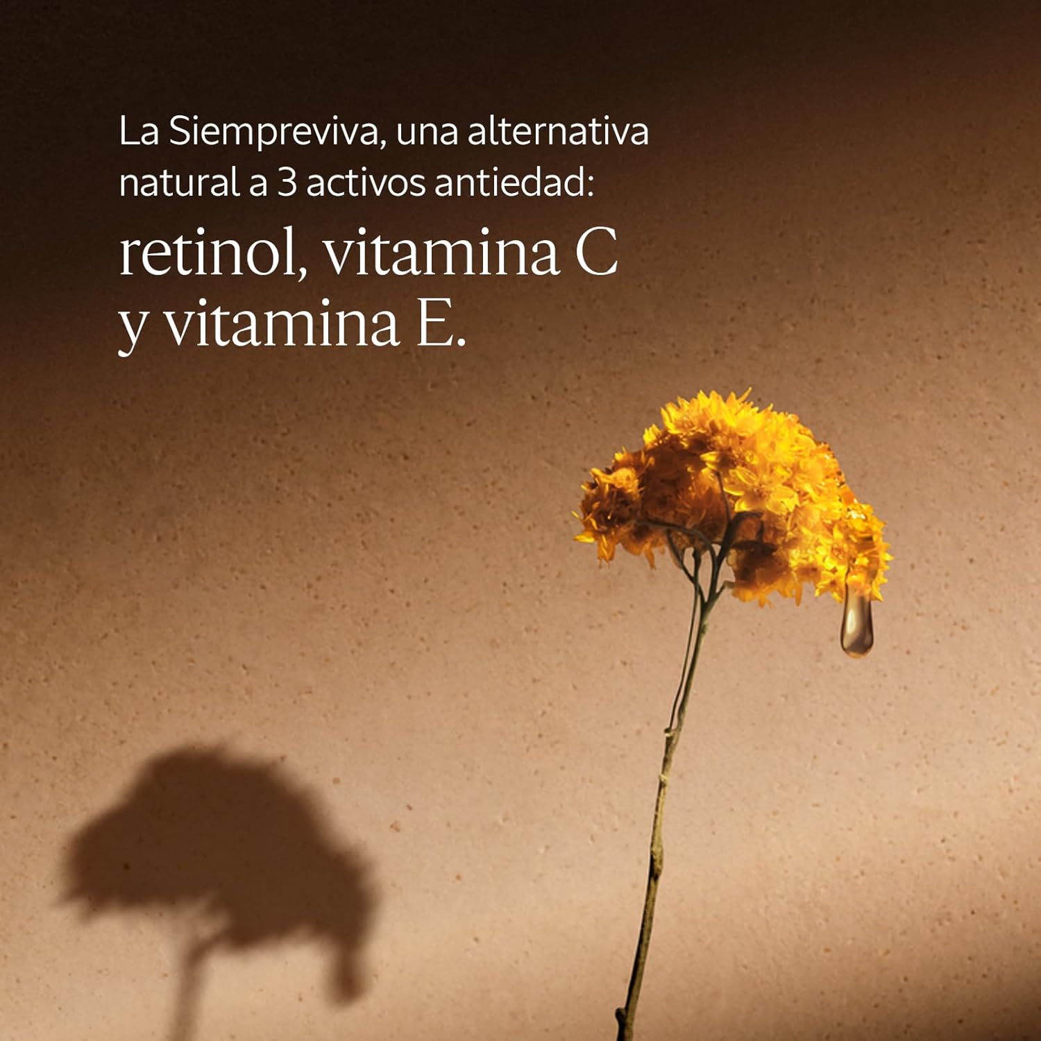 L'OCCITANE Immortelle Divine Eye Balm 0.50 oz