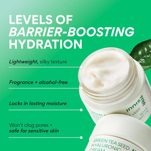 innisfree Green Tea Seed Hyaluronic Acid Cream With Barrier Boosting Complex and Ceramide, Korean Hydrating Face Moisturizer and Balancing Cream
