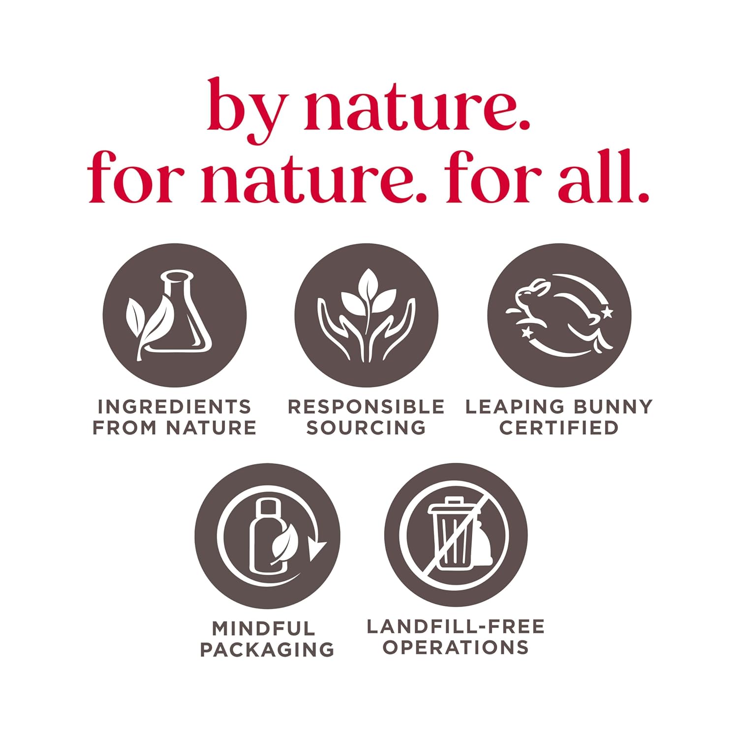 Burt's Bees Gifts Ideas - In Full Bloom Lip Balm Set, Original Beeswax, Dragonfruit Lemon, Tropical Pineapple & Strawberry, Natural Origin Lip Treatment, 4 Tubes, 0.15 oz.