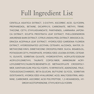 Beauty of Joseon Light On Serum Vitamin C Centella Dark Spot Fine Lines Pigmentation Correcting Serum, Hydrating Moisturizer, Korean Skin Care for Men and Women, 30ml, 1 fl.oz