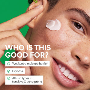 innisfree Green Tea Seed Hyaluronic Acid Cream With Barrier Boosting Complex and Ceramide, Korean Hydrating Face Moisturizer and Balancing Cream