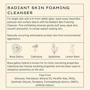 Jurlique Radiant Skin Foaming Facial Cleanser , 2.8 Oz (Pack of 1)