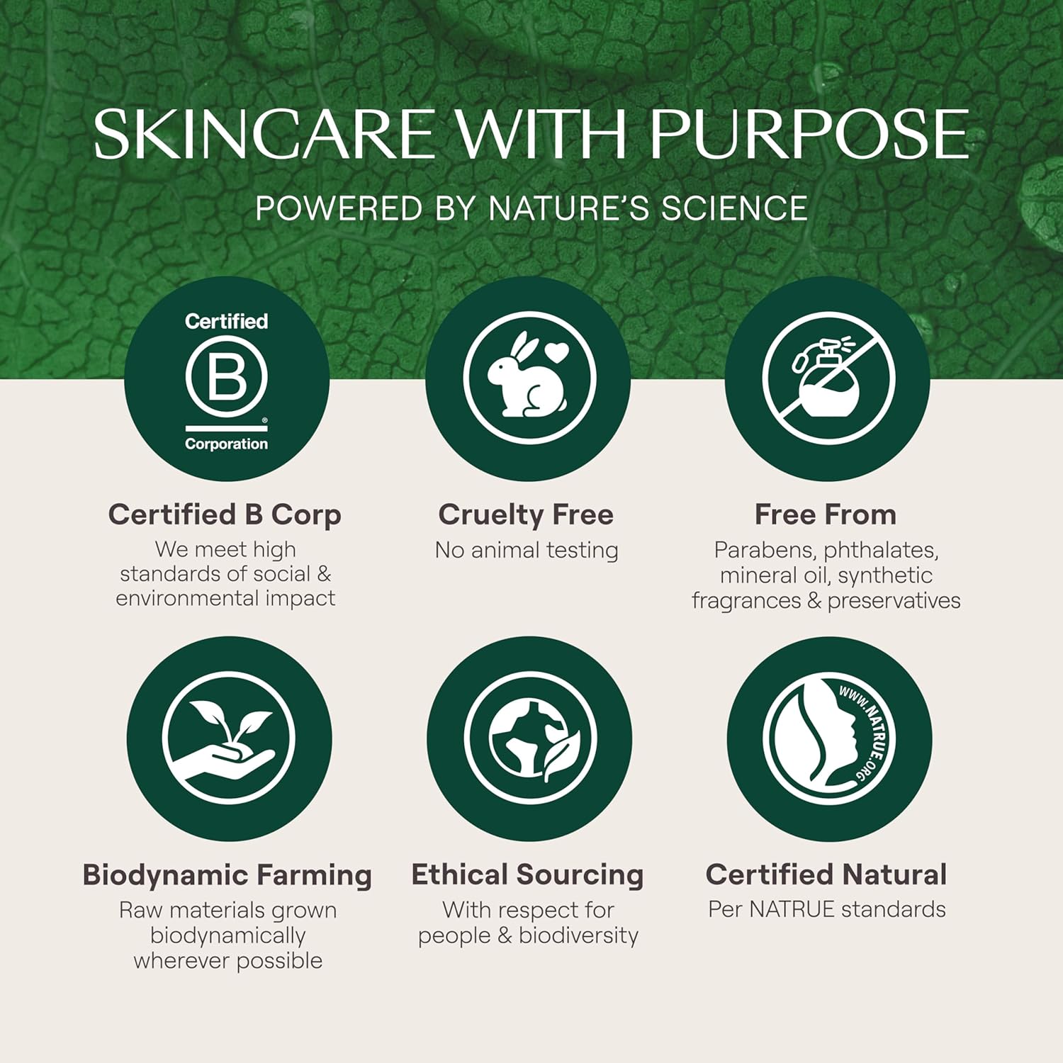 Weleda Skin Food Original Ultra-Rich Body Cream 2.5 Fluid Ounce, Plant Rich Hydrating Moisturizer with Pansy, Chamomile and Calendula