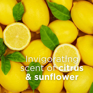Andalou Naturals Citrus Sunflower Uplifting Body Lotion, 8 fl.oz (Packaging may vary)