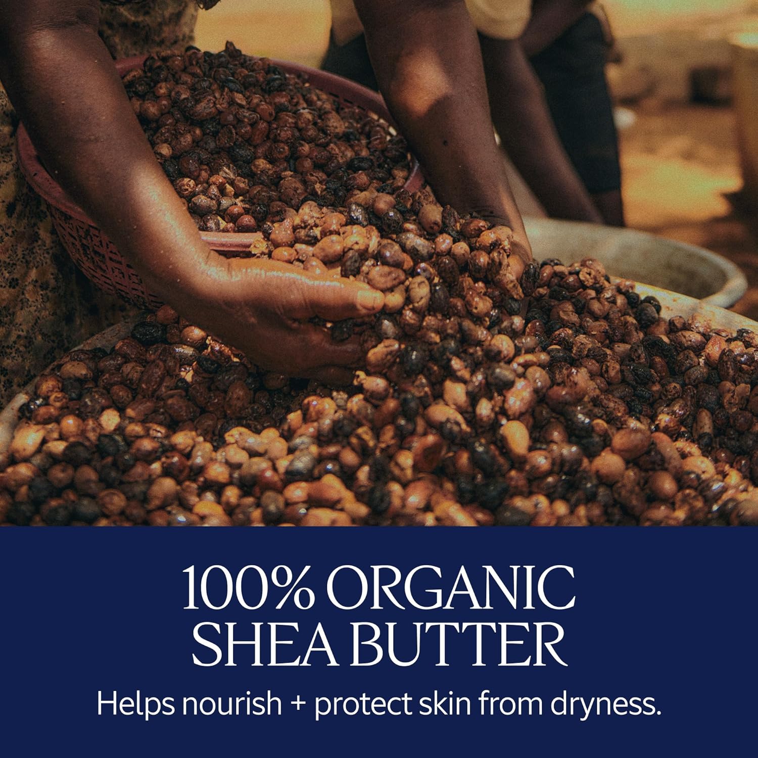 L'OCCITANE Hand Cream Classics, 3-Piece Set: Moisturizing Hand Creams, Iconic Scents, Vegan, All Skin Types, Perfect Gift, Made in France