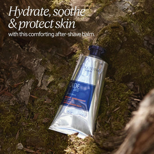 L'OCCITANE Soothing and Moisturizing After Shave Balm, 2.5 Fl Oz: Hydrate Skin, Reduce Feelings of Irritation, Soothe After Shave, Made in France, Vegan, Best in Grooming