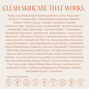 InstaNatural Vitamin C Cleanser Face Wash, Brightens and Reduces Signs of Aging, Fine Lines and Uneven Texture, with Coconut Water and Aloe Vera, 6.7 FL Oz