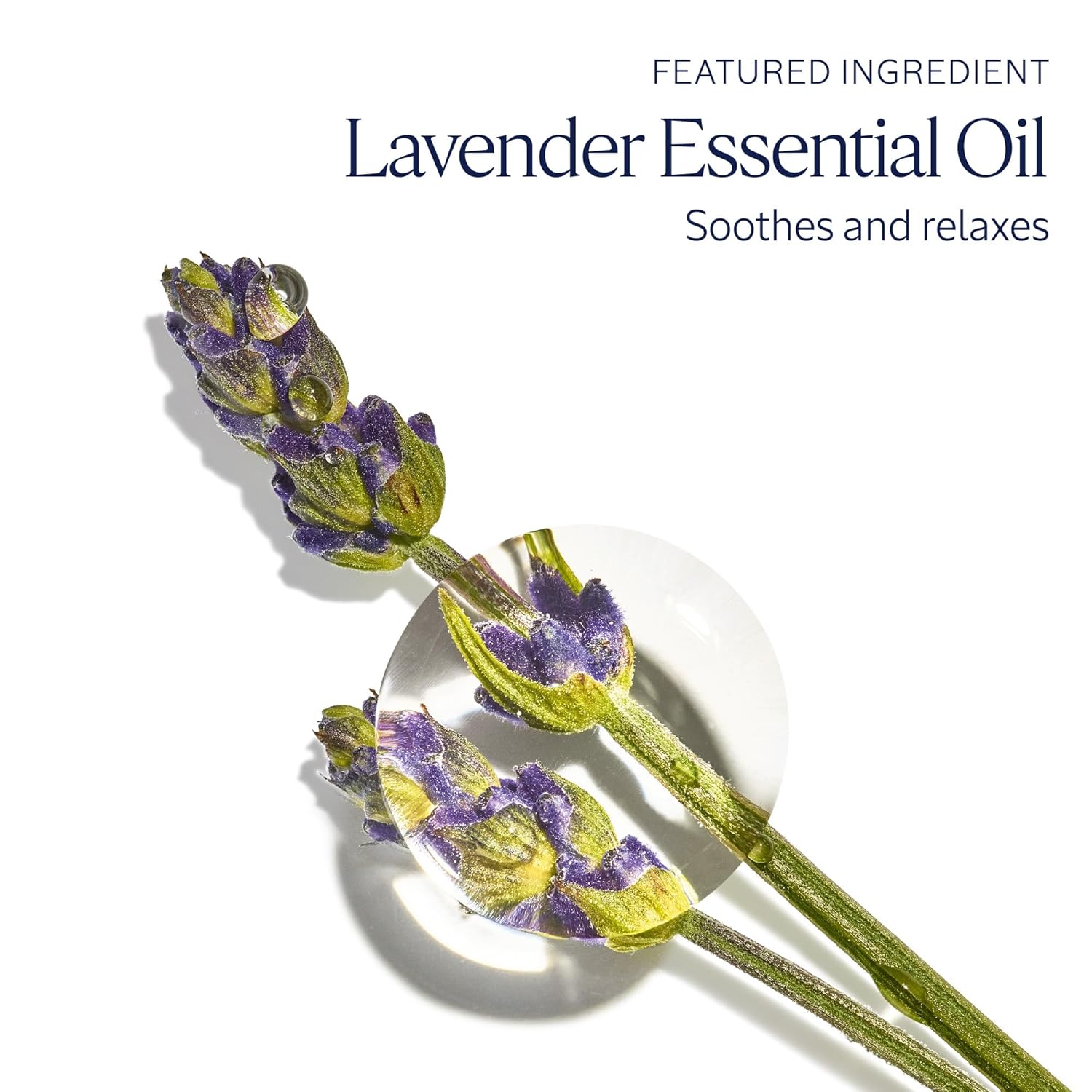 L'OCCITANE Hand Cream: Nourishes Very Dry Hands, Protects Skin, With Shea Butter, Vegan, Lavender, Cherry Blossom, Rose, Neroli Orchidee, Verbena, Peony, Barbotine