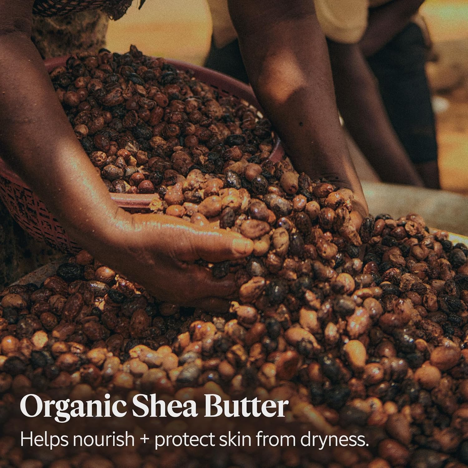 L'OCCITANE 10% Organic Shea Butter Ultra Rich Lip Balm Stick, Moisturizes, Nourishes, Repairs & Softens Dry, Chapped Lips, Long Lasting, Vegan