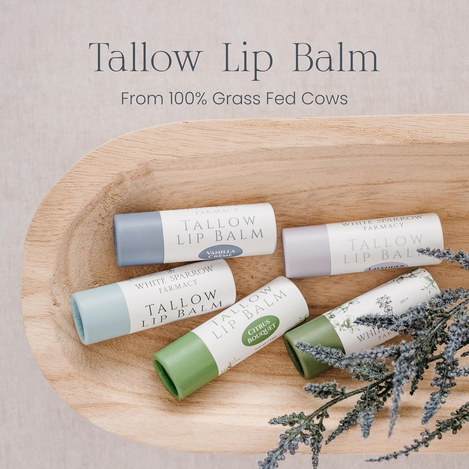 Organic Tallow Lip Balm (Citrus Bouquet) from 100% Grass Fed Cows. Super hydrating with Tallow, Olive Oil, Honey, and Beeswax. Sustainable Cardboard Tubes & Hand Filled. Jumbo Size 0.5 oz.