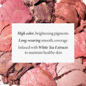 LAURA GELLER NEW YORK Baked Blush-n-Brighten Marbleized Blush - Apricot Berry & Angled Brush 2pc Set
